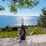 In Vineyard Paradise Dingac Peljesac * Potomje