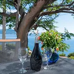 In Vineyard Paradise Dingac Peljesac Potomje
