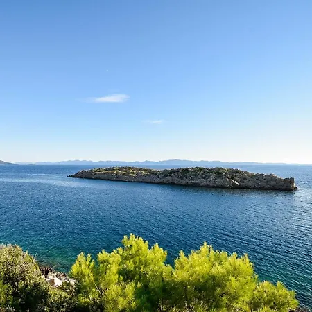 In Vineyard Paradise Dingac Peljesac *