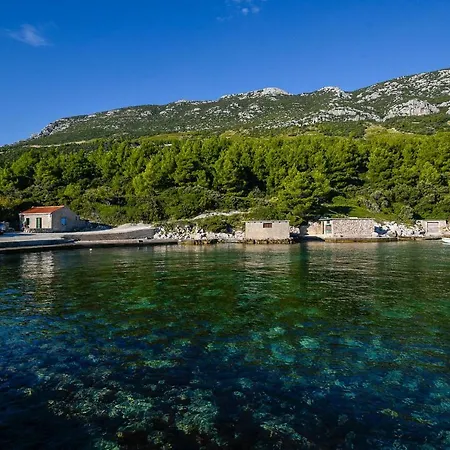 In Vineyard Paradise Dingac Peljesac Potomje