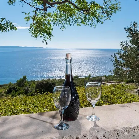 In Vineyard Paradise Dingac Peljesac Vikendica Potomje