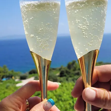 In Vineyard Paradise Dingac Peljesac Potomje