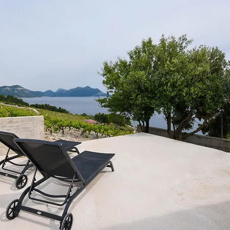 In Vineyard Paradise Dingac Peljesac