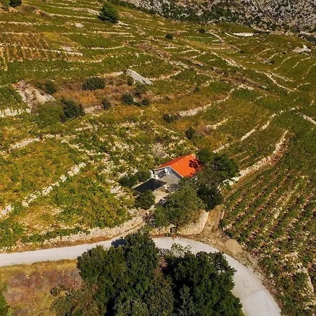 In Vineyard Paradise Dingac Peljesac Vikendica *