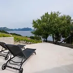 In Vineyard Paradise Dingac Peljesac Vikendica Potomje