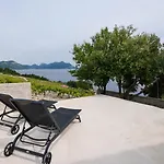 In Vineyard Paradise Dingac Peljesac *