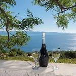 In Vineyard Paradise Dingac Peljesac Vikendica