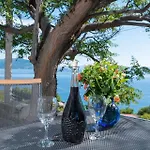 In Vineyard Paradise Dingac Peljesac بيت للعطل