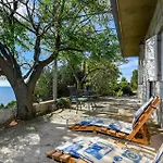 In Vineyard Paradise Dingac Peljesac Potomje