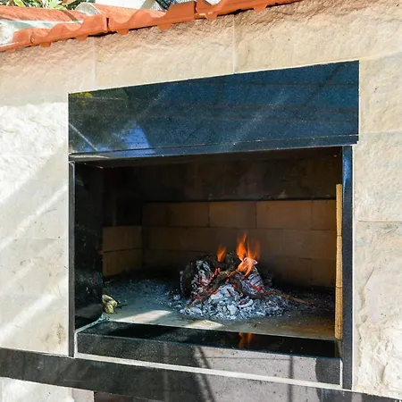 In Vineyard Paradise Dingac Peljesac