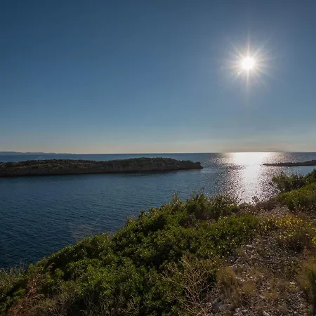 In Vineyard Paradise Dingac Peljesac * Potomje