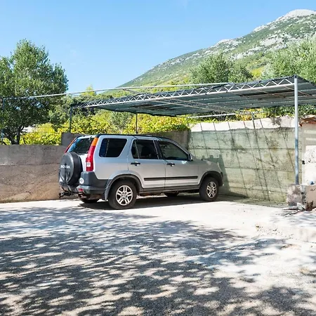 In Vineyard Paradise Dingac Peljesac Potomje