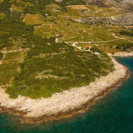 Ferienhaus In Vineyard Paradise Dingac Peljesac