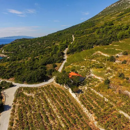 Holiday home In Vineyard Paradise Dingac Peljesac Potomje