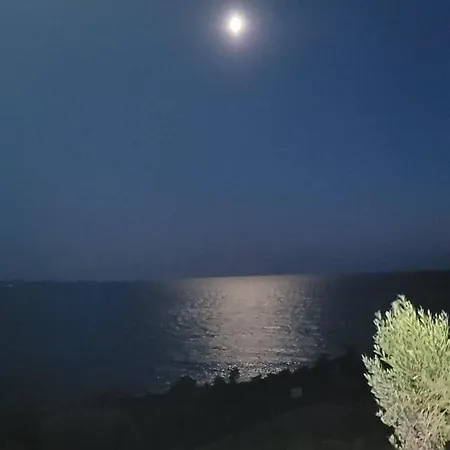 In Vineyard Paradise Dingac Peljesac Potomje