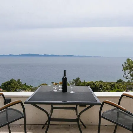 In Vineyard Paradise Dingac Peljesac