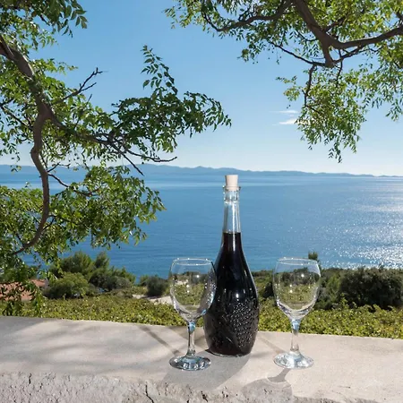 In Vineyard Paradise Dingac Peljesac Potomje