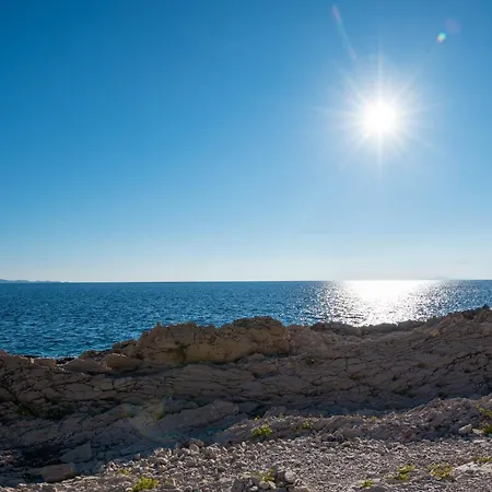 In Vineyard Paradise Dingac Peljesac Potomje