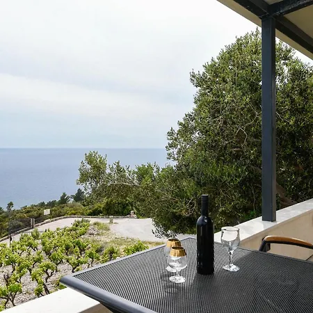 In Vineyard Paradise Dingac Peljesac