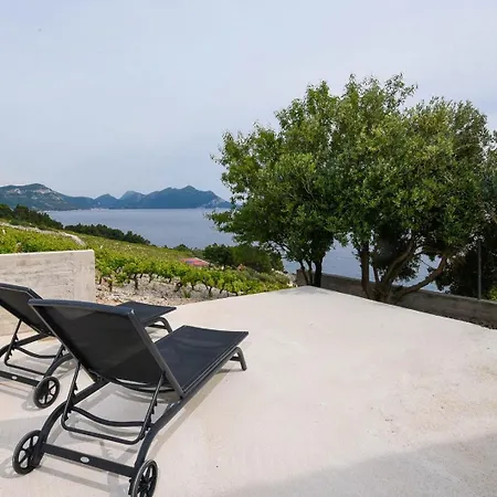 In Vineyard Paradise Dingac Peljesac *