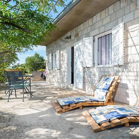 In Vineyard Paradise Dingac Peljesac *