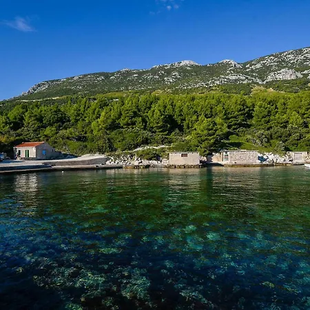 In Vineyard Paradise Dingac Peljesac Potomje