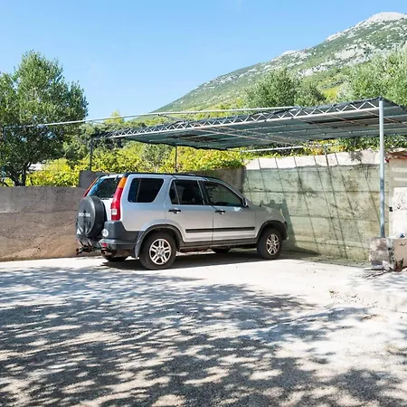 In Vineyard Paradise Dingac Peljesac