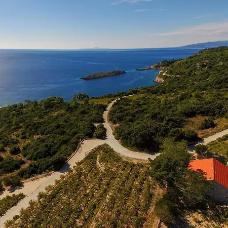 In Vineyard Paradise Dingac Peljesac Potomje