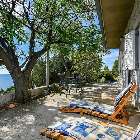 In Vineyard Paradise Dingac Peljesac Potomje