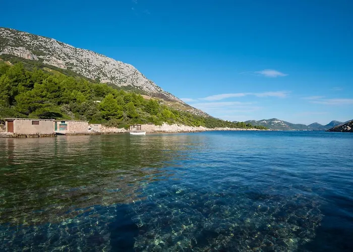 In Vineyard Paradise Dingac Peljesac Potomje