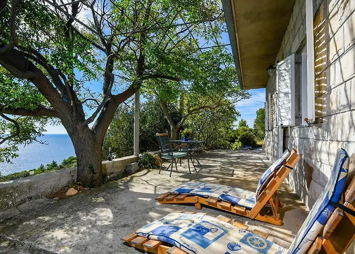 In Vineyard Paradise Dingac Peljesac