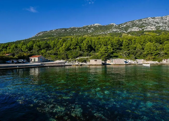 In Vineyard Paradise Dingac Peljesac Potomje
