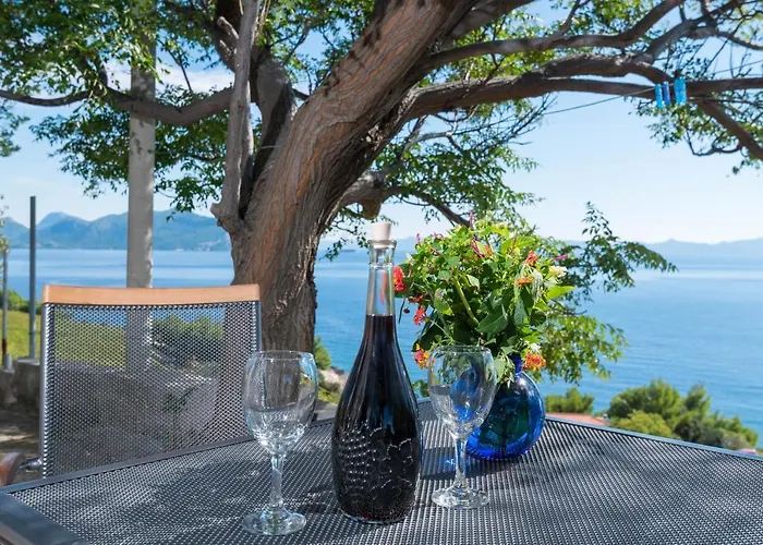 Tatil Evi In Vineyard Paradise Dingac Peljesac *