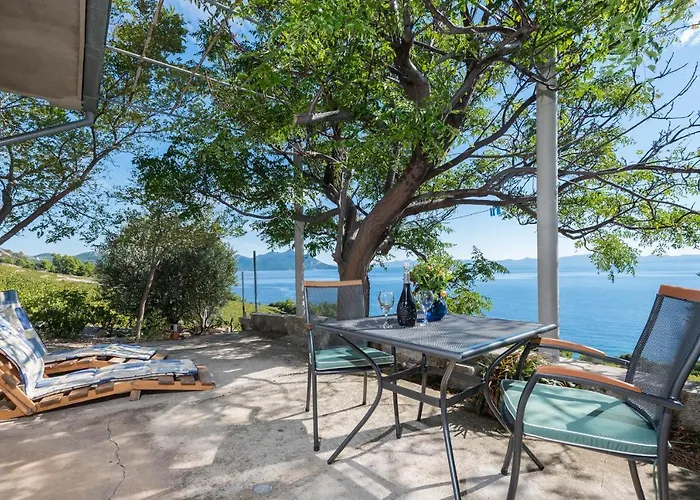 Σπίτι διακοπών In Vineyard Paradise Dingac Peljesac *