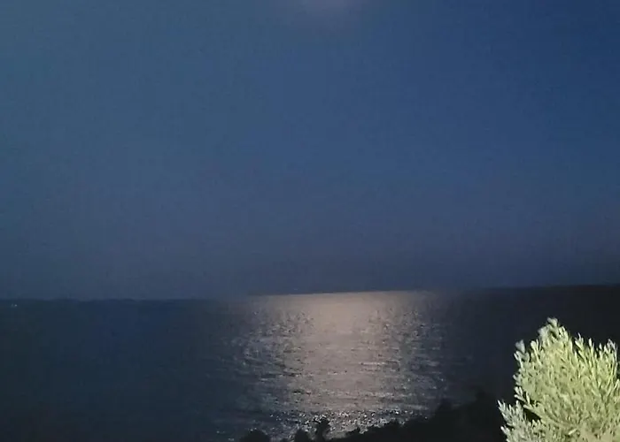 In Vineyard Paradise Dingac Peljesac Potomje