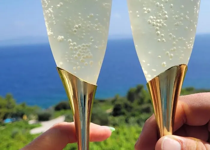 In Vineyard Paradise Dingac Peljesac Potomje