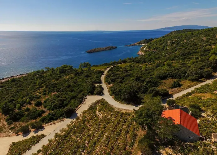 In Vineyard Paradise Dingac Peljesac *