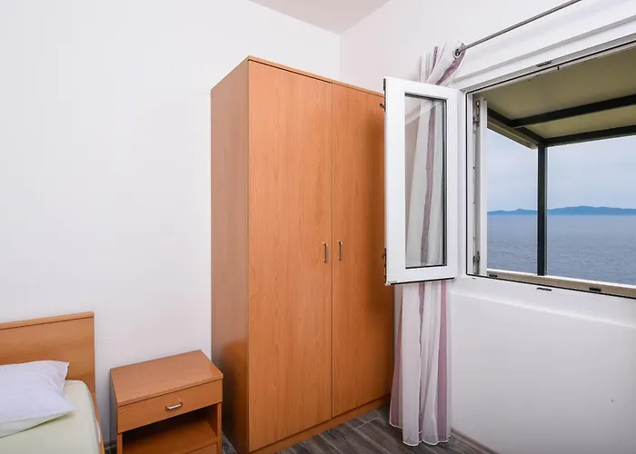 In Vineyard Paradise Dingac Peljesac