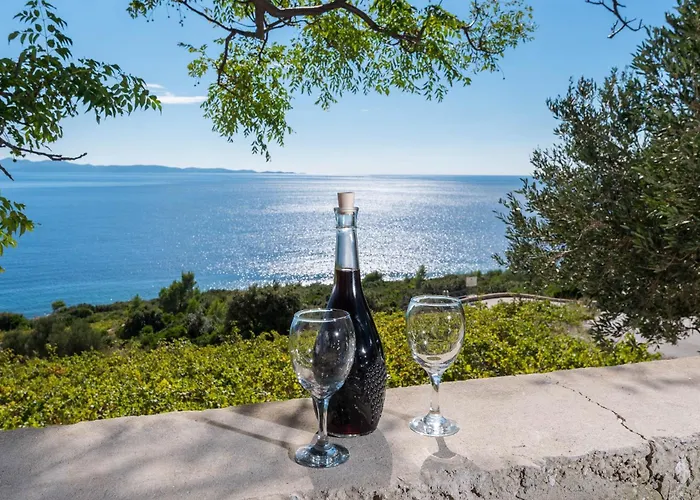 In Vineyard Paradise Dingac Peljesac * Potomje