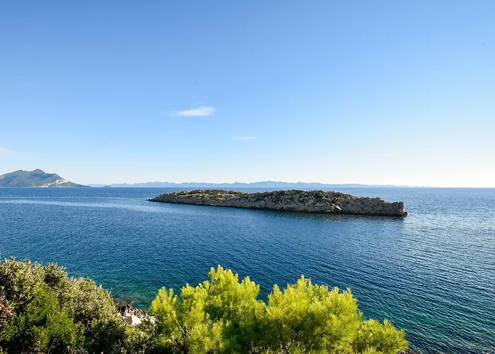 In Vineyard Paradise Dingac Peljesac *