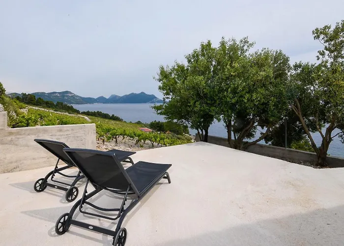 In Vineyard Paradise Dingac Peljesac *