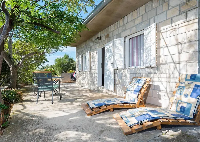 In Vineyard Paradise Dingac Peljesac *