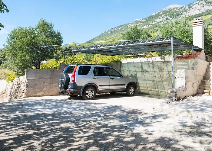 In Vineyard Paradise Dingac Peljesac