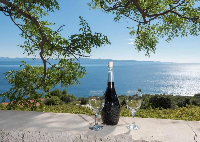 In Vineyard Paradise Dingac Peljesac Tatil Evi