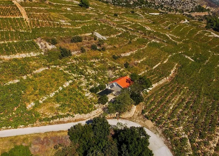 In Vineyard Paradise Dingac Peljesac Σπίτι διακοπών *