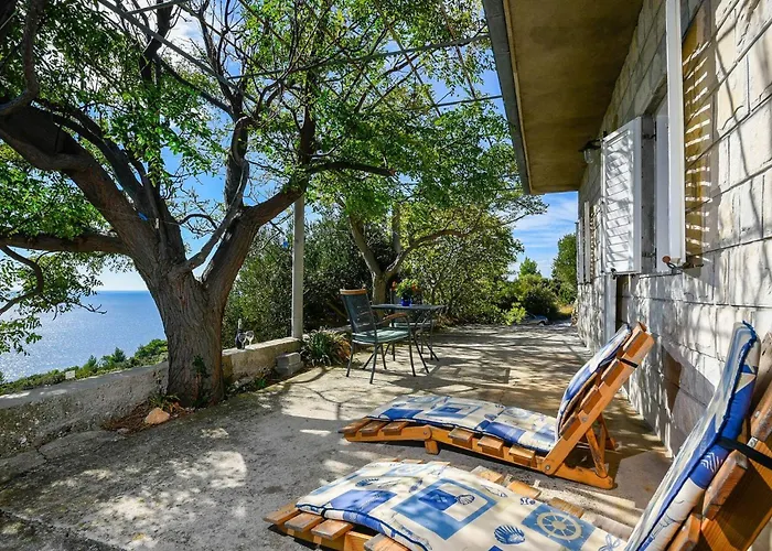 In Vineyard Paradise Dingac Peljesac Potomje