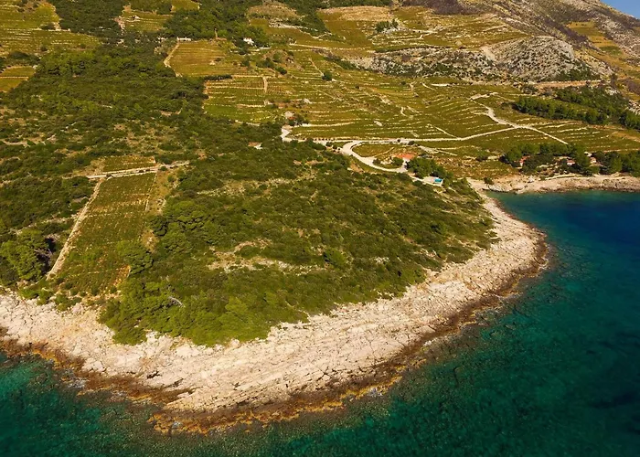 In Vineyard Paradise Dingac Peljesac * Potomje
